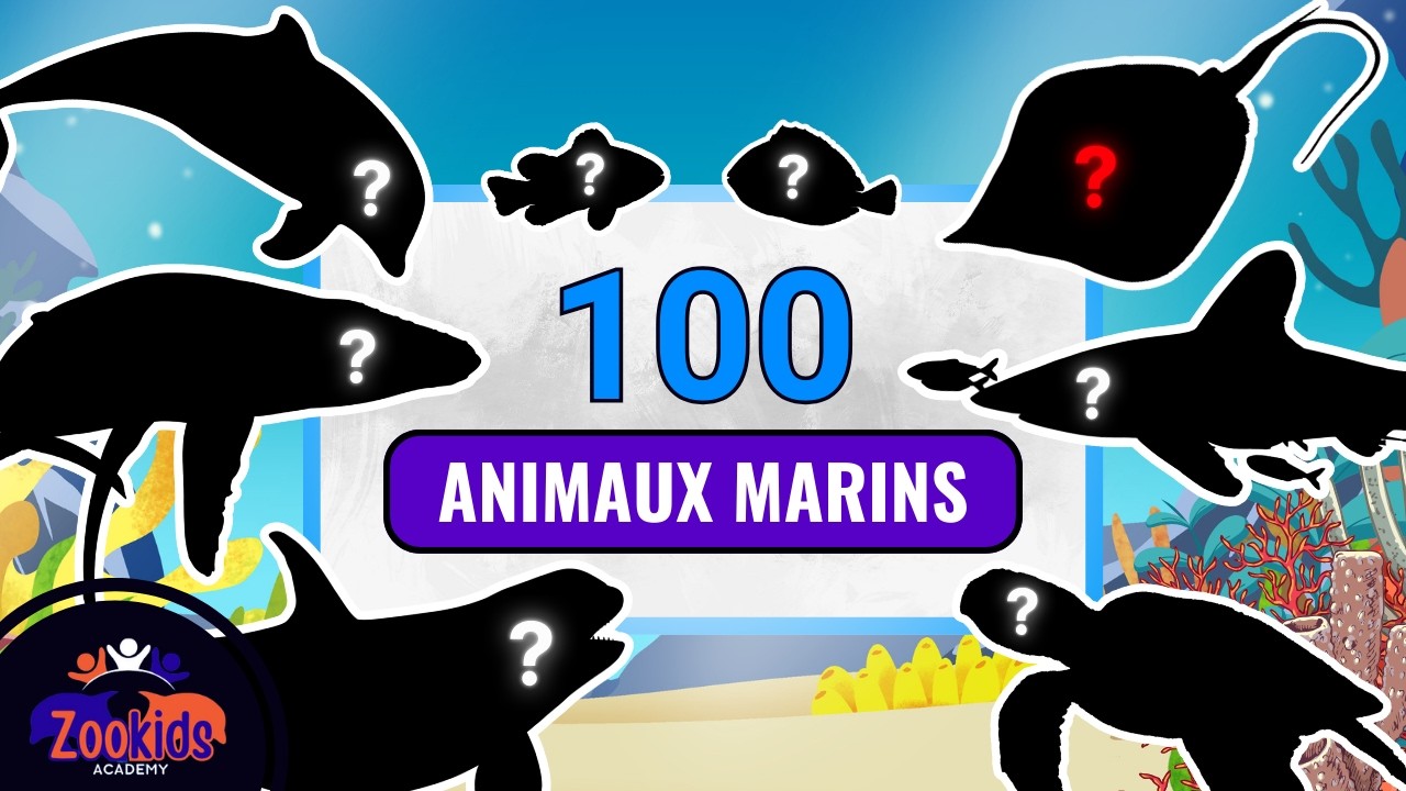 Collection de 100 Animaux marins | (QUIZ) Apprendre les noms et regarder les vidéos des animaux