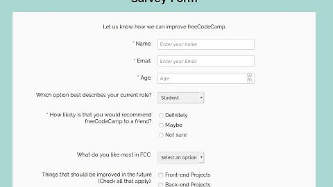 Survey Form nice and easy (2020)