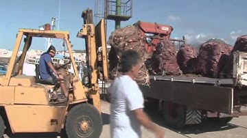 Driftnets - Introducing the Campaign