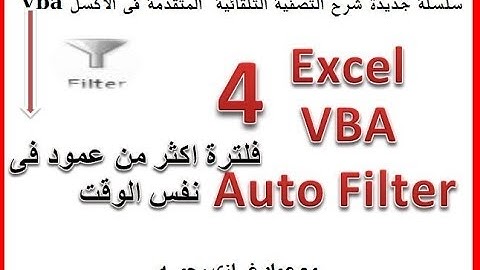 اكسل vba ج4 فرز وتصفية البيانات من اكثر من عمود  فى نفس الوقت excel vba filter