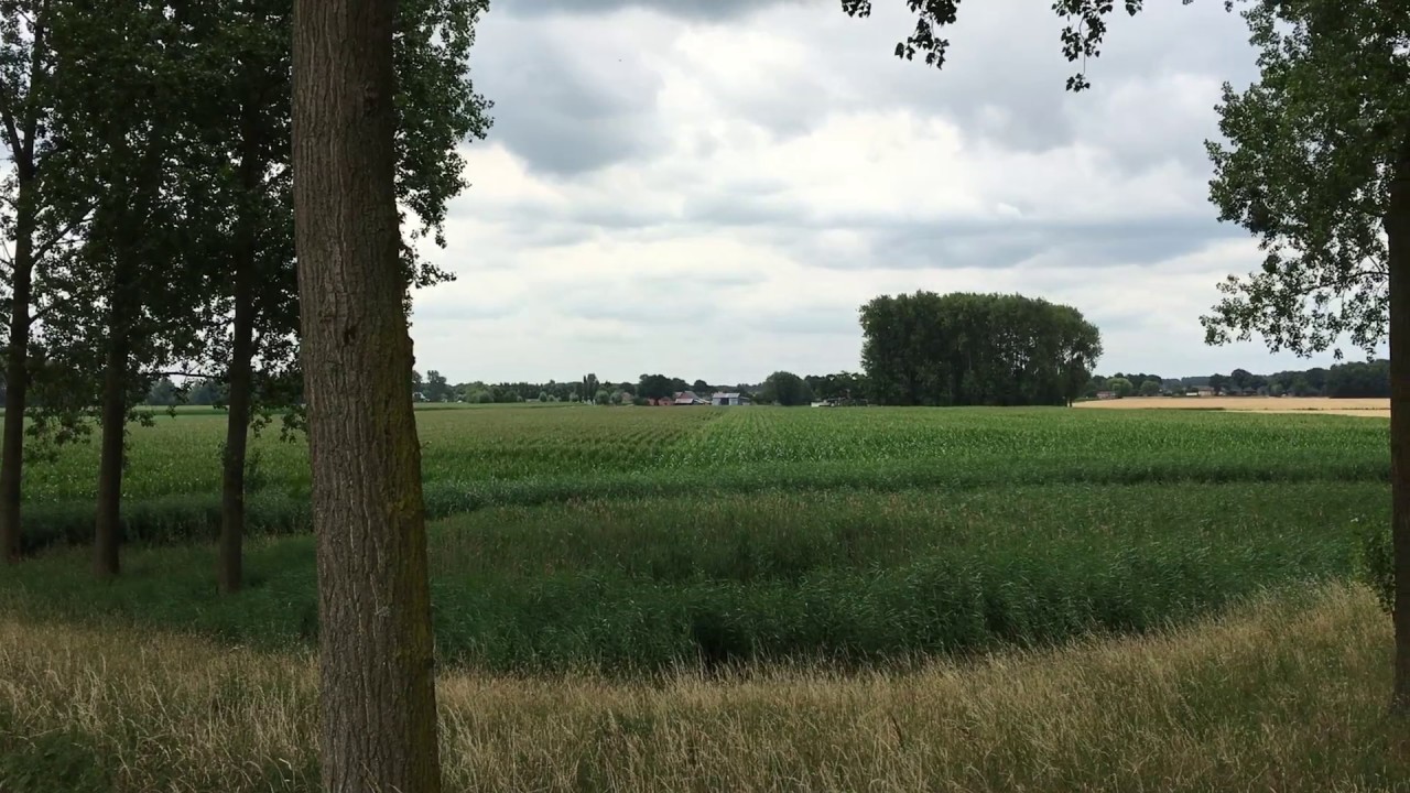 Rvk Koewacht 4 verhalen bij het fort