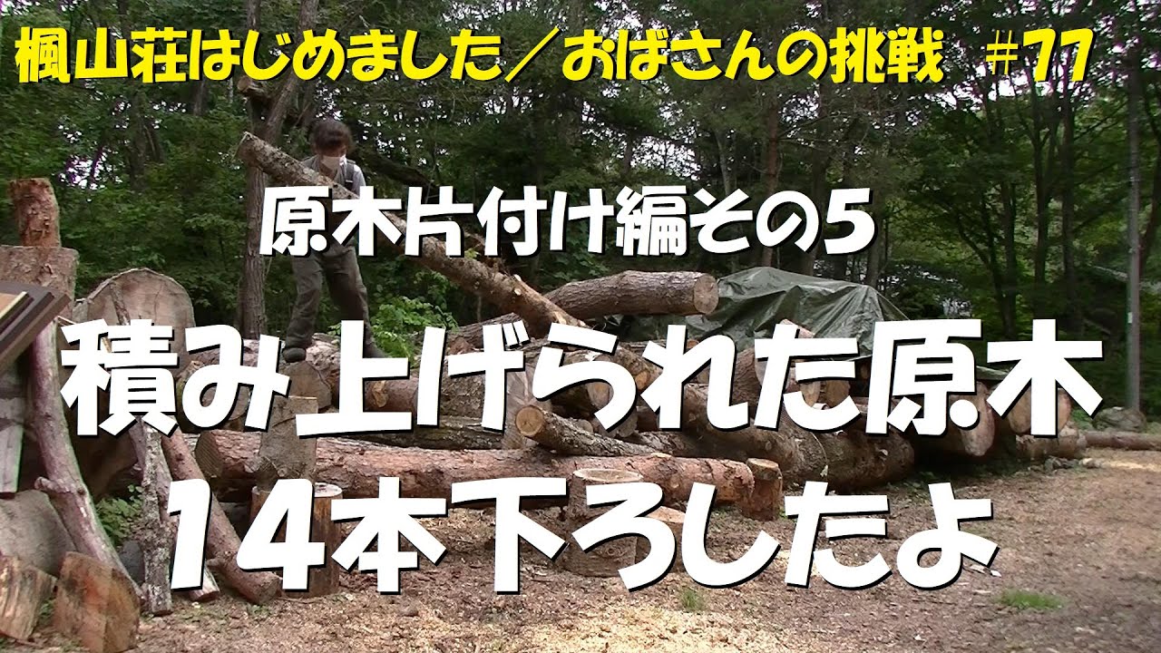 ＃７７　原木片付け編／積み上げられた原木１４本下ろしたよ