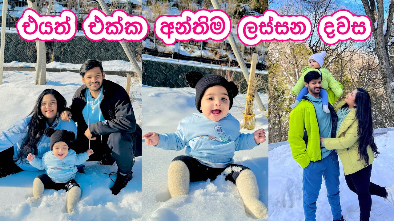 මේ දවස් ගෙවෙනවට පුදුම ලෝබ කමක් දැනුනේ 🥺| එයත් එක්ක අන්තිම ලස්සන දවස් | Life in Japan 🇯🇵