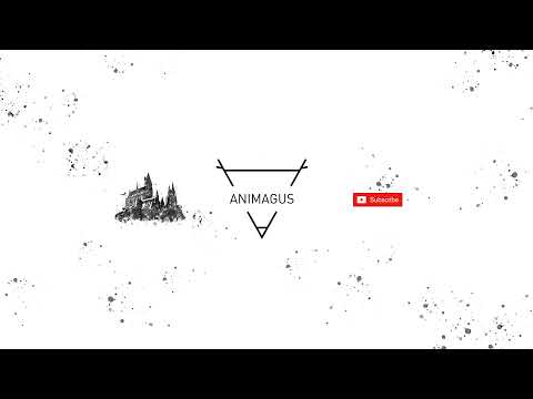Animagus Live Stream