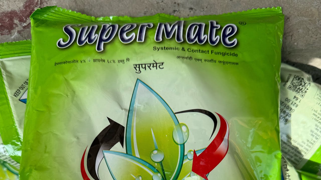 Alternaria Leaf Blotch