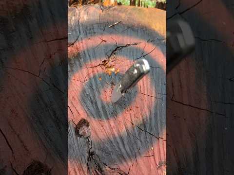10 Tuesday speedy stump sticks!