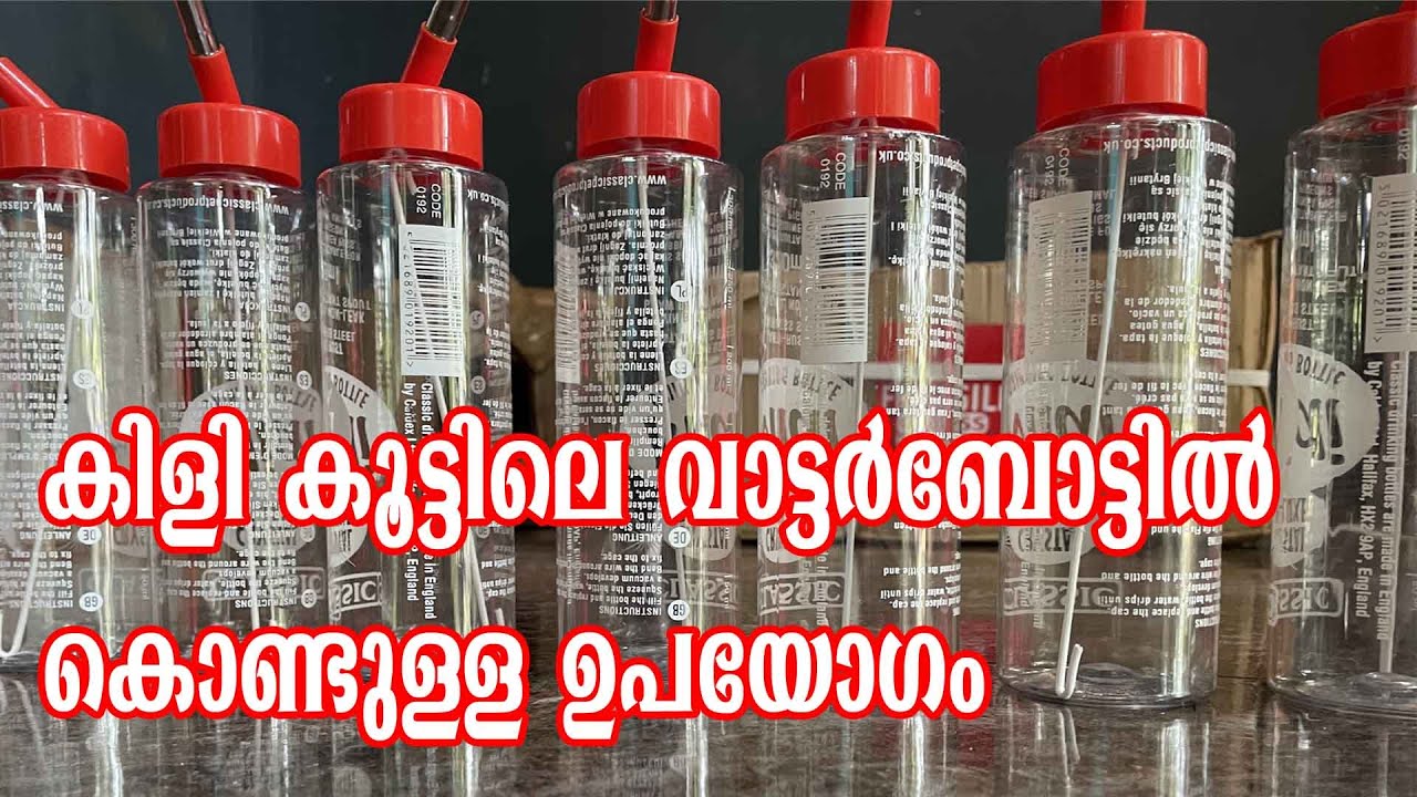 പക്ഷികൾക് ശുദ്ധമായ കുടിവെള്ളം കൊടുക്കാനുള്ള എളുപ്പ വഴി |Automatic Water Feeder for birds | golden