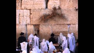 How to Daven Maariv Prayer Nusach Ashkenaz (with pauses)