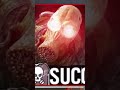 Suck #funny #rainbowsix #therussianbadger #memes #videogame #shorts #subscribe 