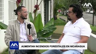 Incendios forestales están afectando las reservas biológicas en Nicaragua