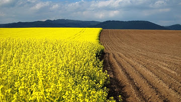 Pixel Gun 3D The End