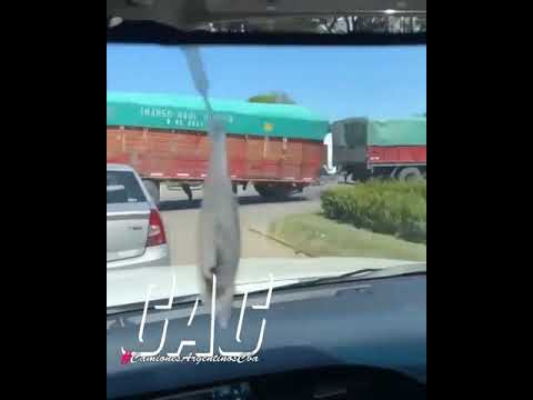 Se viaja como