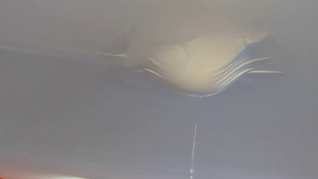 Water Bubble In Ceiling Shelly Lighting