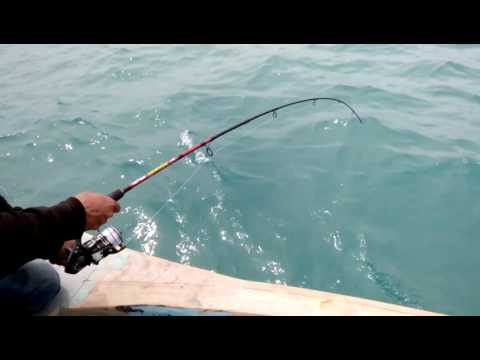 mancing-ikan-laut-indramayu