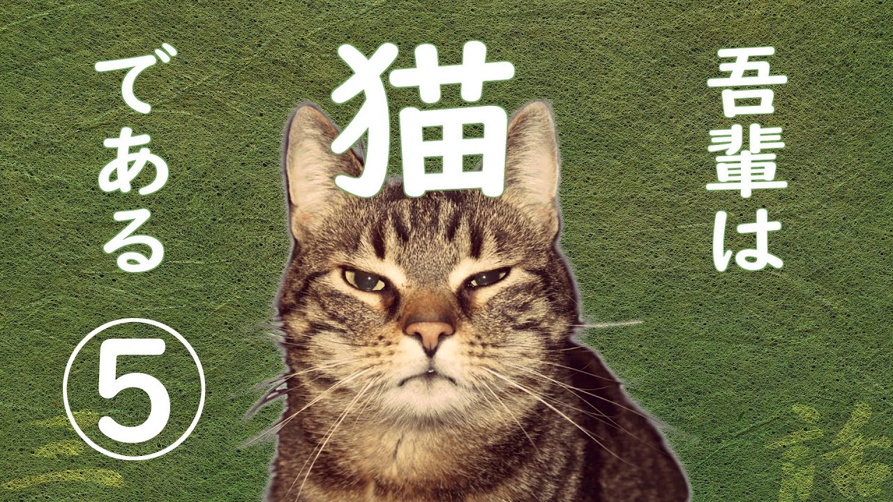 朗読 吾輩は猫である 5 夏目漱石 Youtube