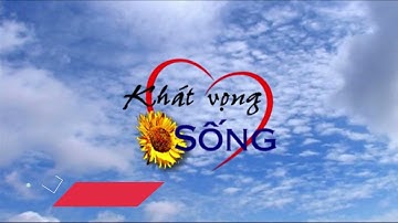 Thư viện trường Tiểu học Chu Văn An giới thiệu sách chuyên đề tháng 3.