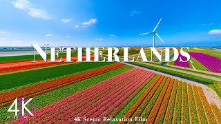 NETHERLANDS 4K Amazing Nature Film  - 4K Scenic Relaxation Film With Inspiring Cinematic Music