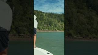 He ate it right at the boat?! #flatsfishing #flyfishing #australiafishing #sightfishing