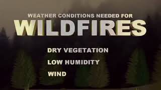 How to stay safe from wildfires
