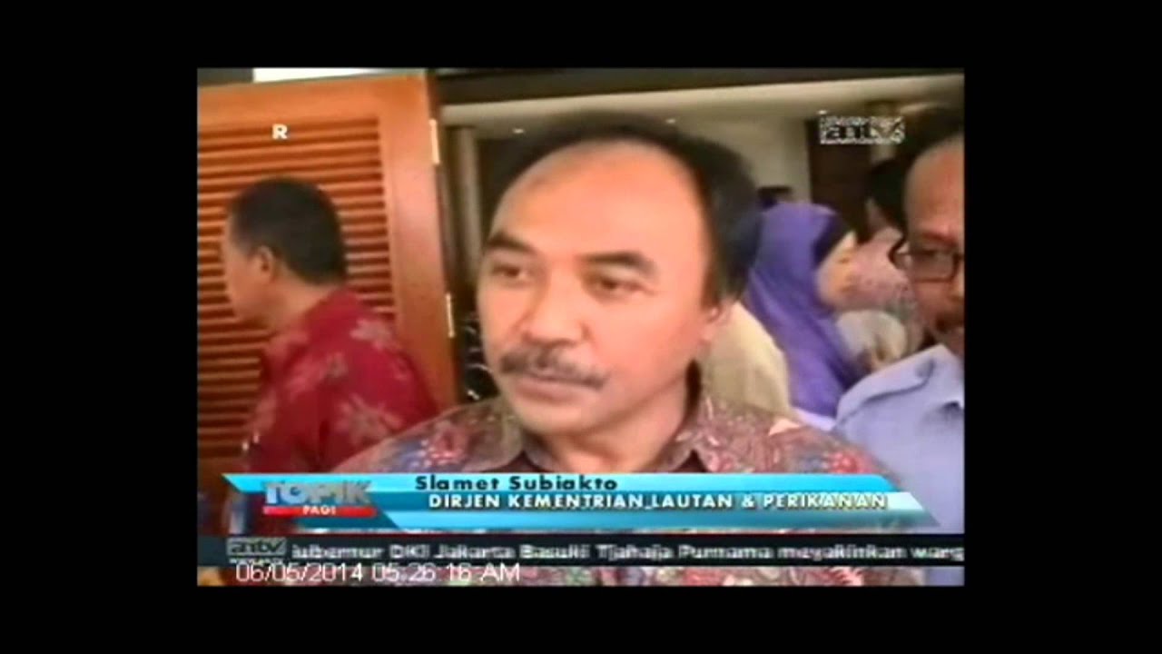 [ANTV] TOPIK Budidaya Lele Sangkuriang, Kualitas Unggul 