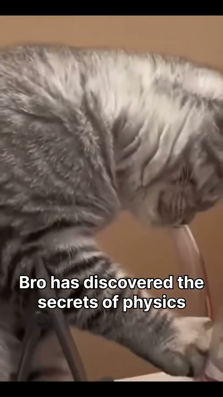 When the Kittyo discovers physics cus of scheming on me