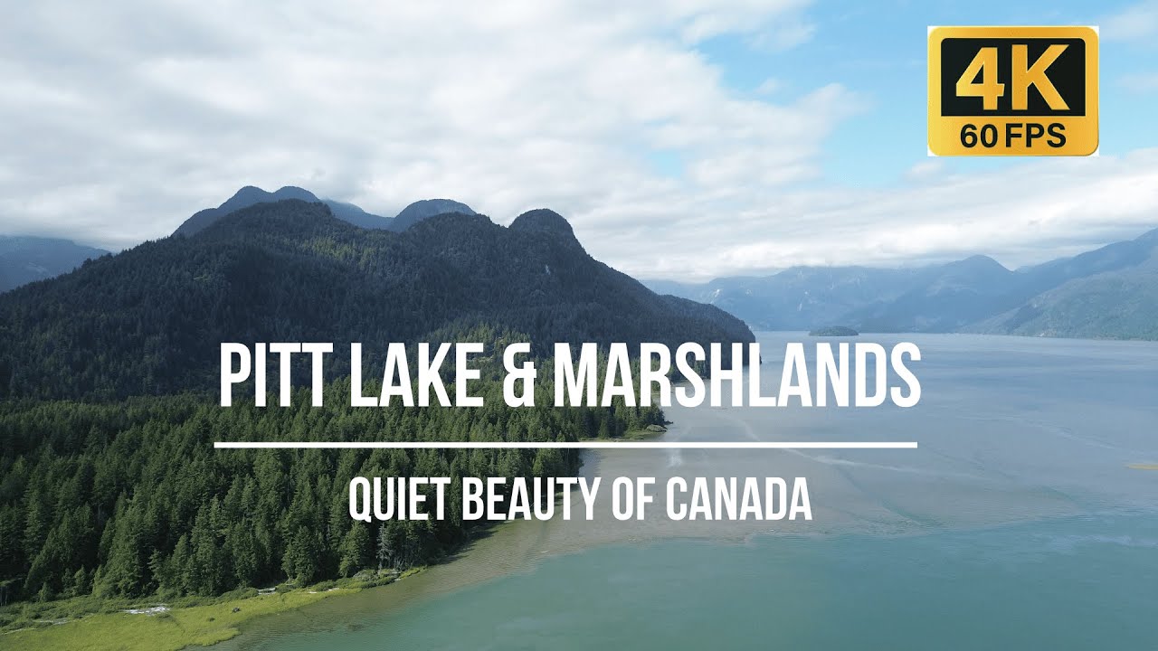 Flying Over Pitt Addington Marsh | Stunning Drone Footage in BC, Canada | 4K Drone Tour