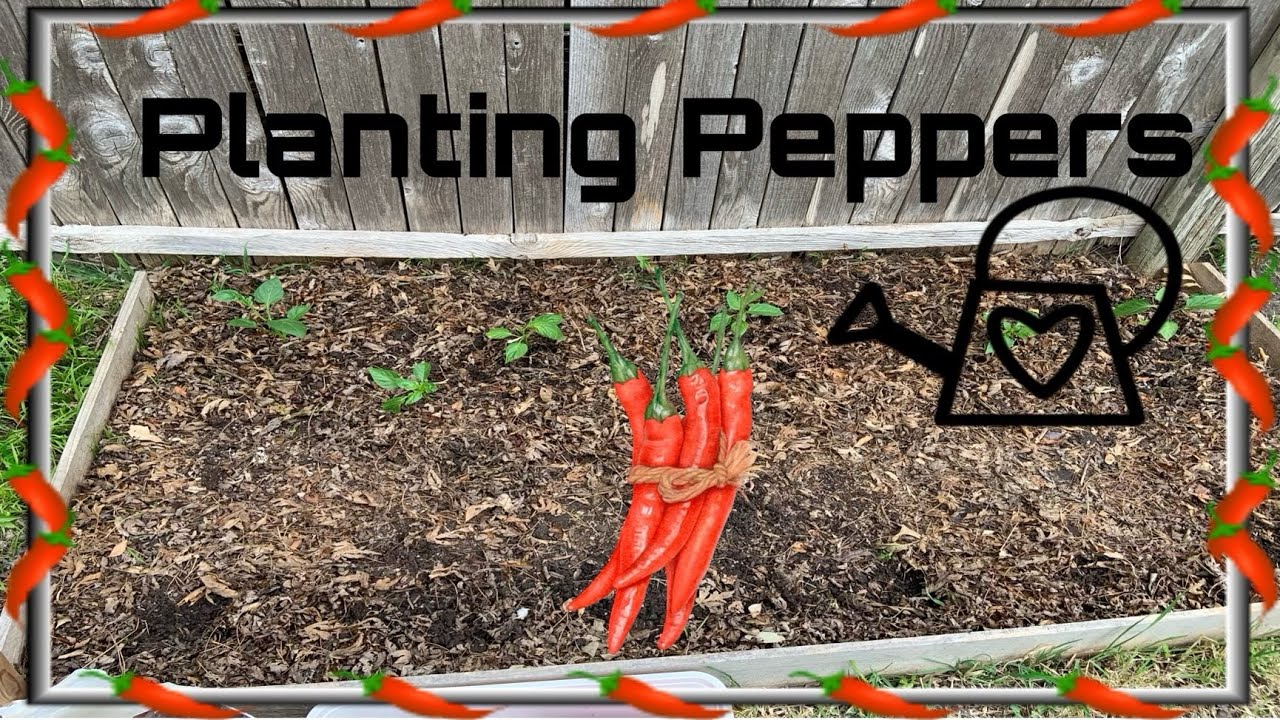 Grounded Barefoot In The Garden YouTube