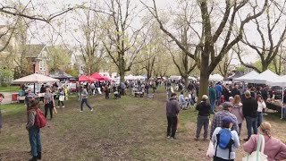 Buffalo’s Elmwood Village market returns with vendors and spring produce Profile
