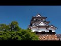 彦根城の猫茶屋