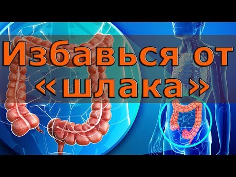 ✅Избавляемся от "шлаков". Очищение организма, мифы и реальность.