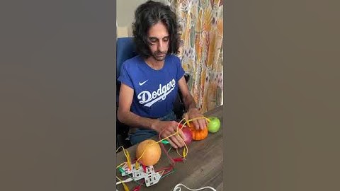 Sarab Singh turned fresh fruits into a musical instrument with Playtron #midicontroller #playtronica