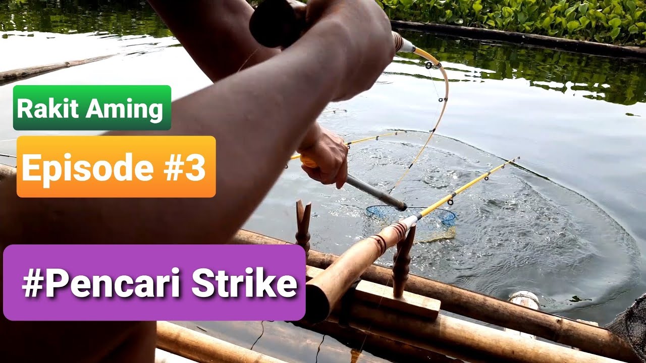 Mancing Cirata||IKAN NILA Berlimpah PENCARI Strike #3
