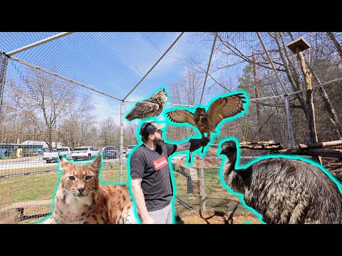 The Best Zoo You HAVE'NT Heard Of (@AnimalAdventuresMA )