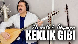 Nurullah Akçayır | Keklik Gibi Kanadımı Süzmedim   Resimi