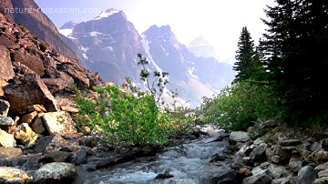 سورة القصص من الآية 7 إلى الآية 14