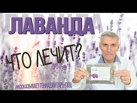Цветки Лаванды – зачем нужны, как применять и полезные свойства. Рассказывает Геннадий Гарбузов