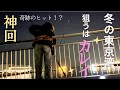 [東京湾]まだ見ぬカレイを求めて、、冬の夜釣りに挑む釣れない釣りガール！？