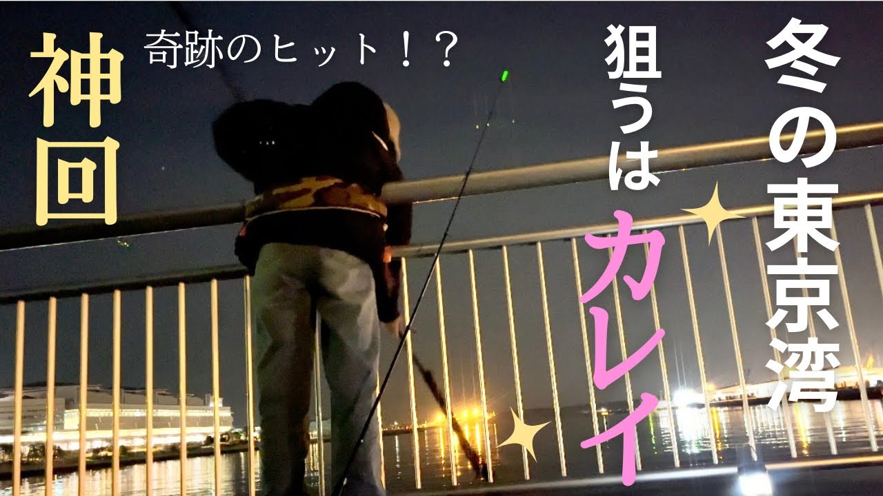[東京湾]まだ見ぬカレイを求めて、、冬の夜釣りに挑む釣れない釣りガール！？