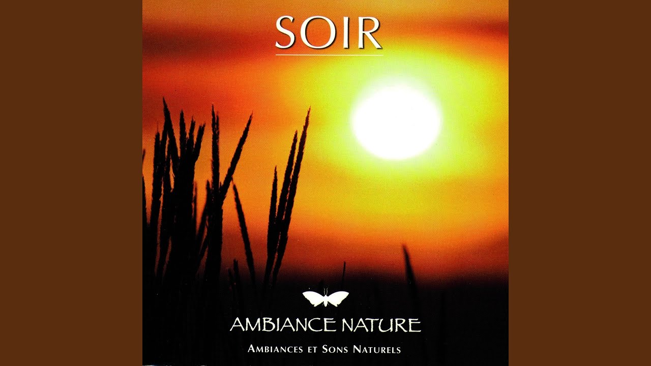 Watch Ambiance soir 1 on YouTube Watch Ambiance soir 1 on YouTube