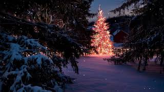 Smooth Relaxing Christmas Jazz instrumental 🎅