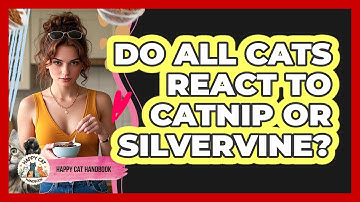 Do All Cats React To Catnip Or Silvervine?