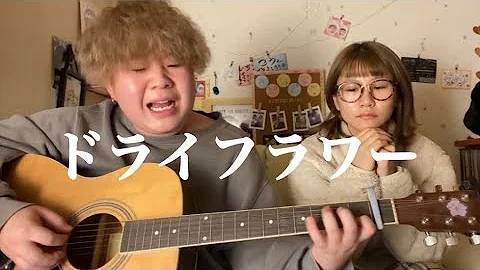 ドライフラワー メガテラ ドライフラワー メガテラ