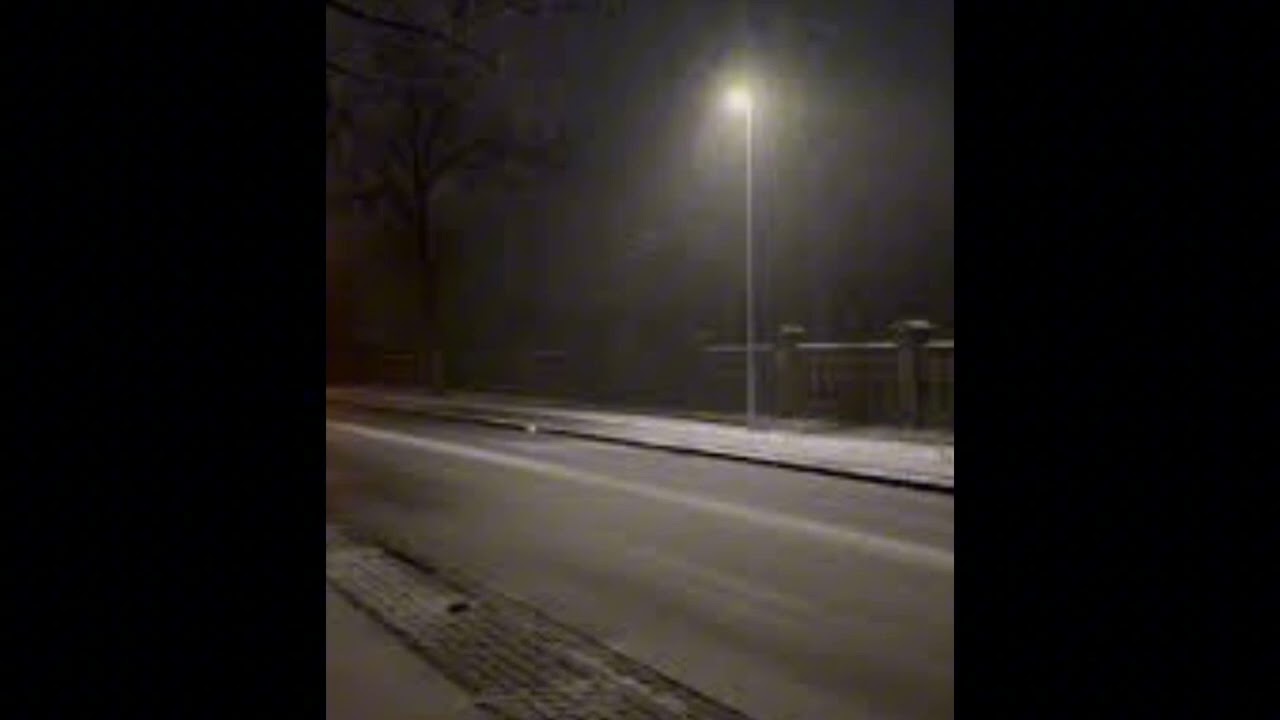 d2s1 - fish (ultra slowed)