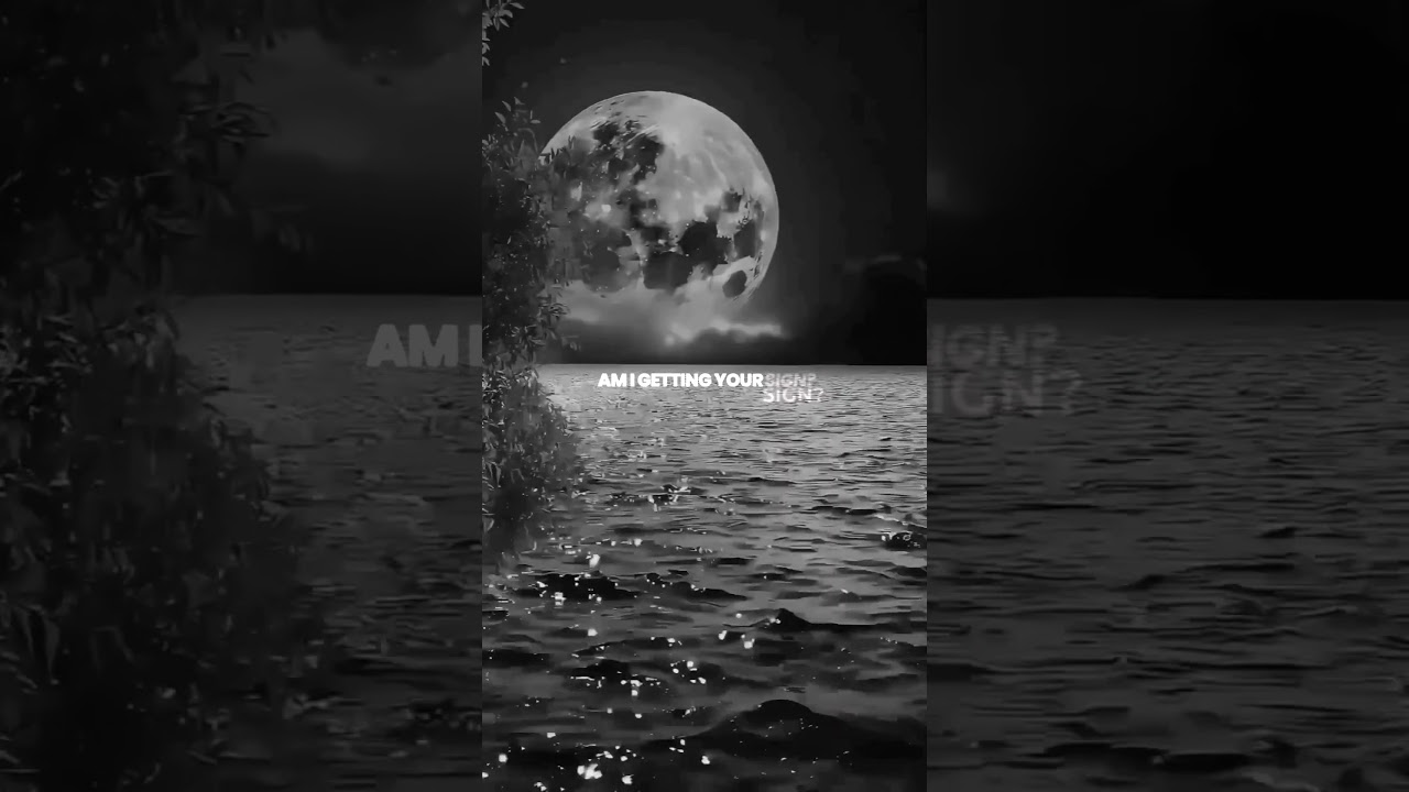 Divine -  by krishnahazar 