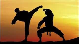 Free sound effects | Fighting (hand to hand)