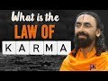 What Is The Law of Karma? | Law of Cause and Effect | Explained | Hinduism