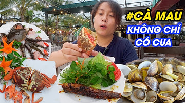 Khám phá Đất Mũi Cà Mau | Phát hiện đặc sản Cà Mau không chỉ có CUA | Du lịch Cà Mau