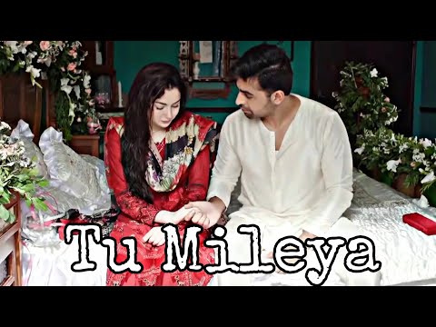 Hamza And Hala Tu Mileya Mere Humsafar 