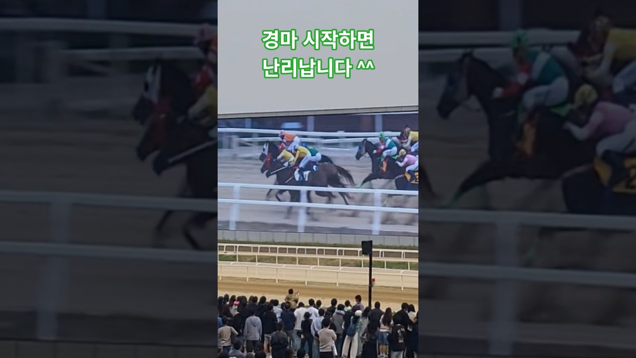내마권만 맞으면되!#경마 #말#달려라말 #응원 #shorts