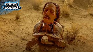 breaking bad (2009) - the hola dea tortoise surprise
